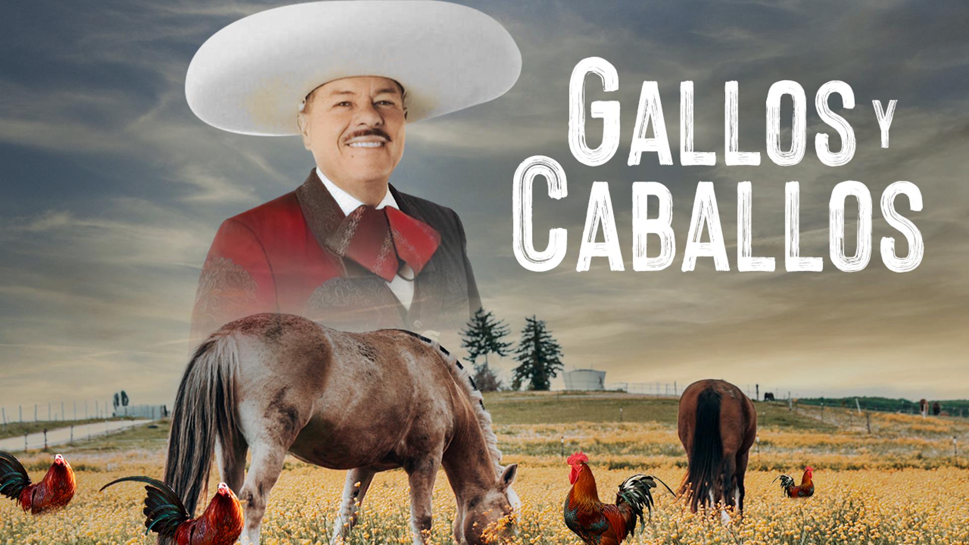Gallos y Caballos
