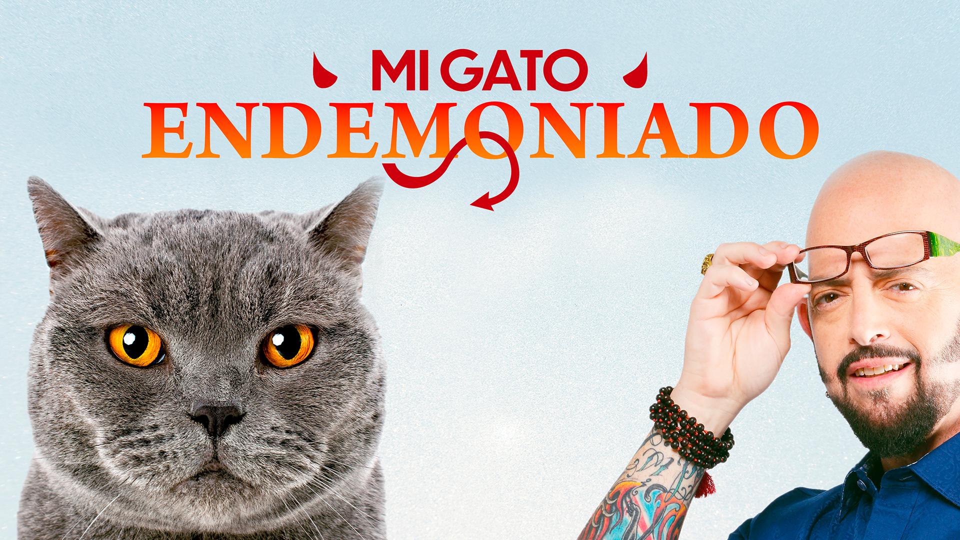 Mi Gato Endemoniado, image size:1920x1080